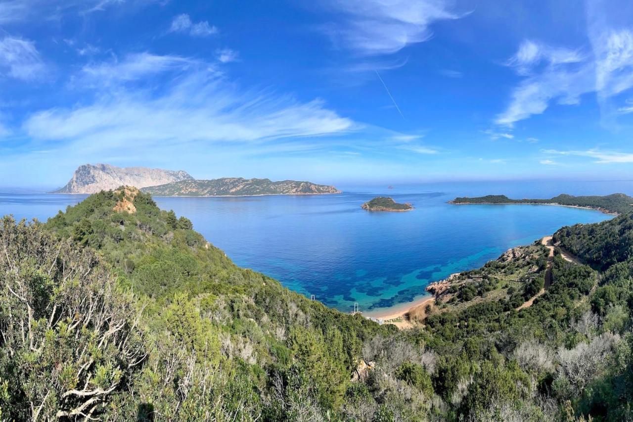Ferienwohnung San Teodoro Punta Est Curatissimo Bilocale Capo Coda Cavallo Exterior foto