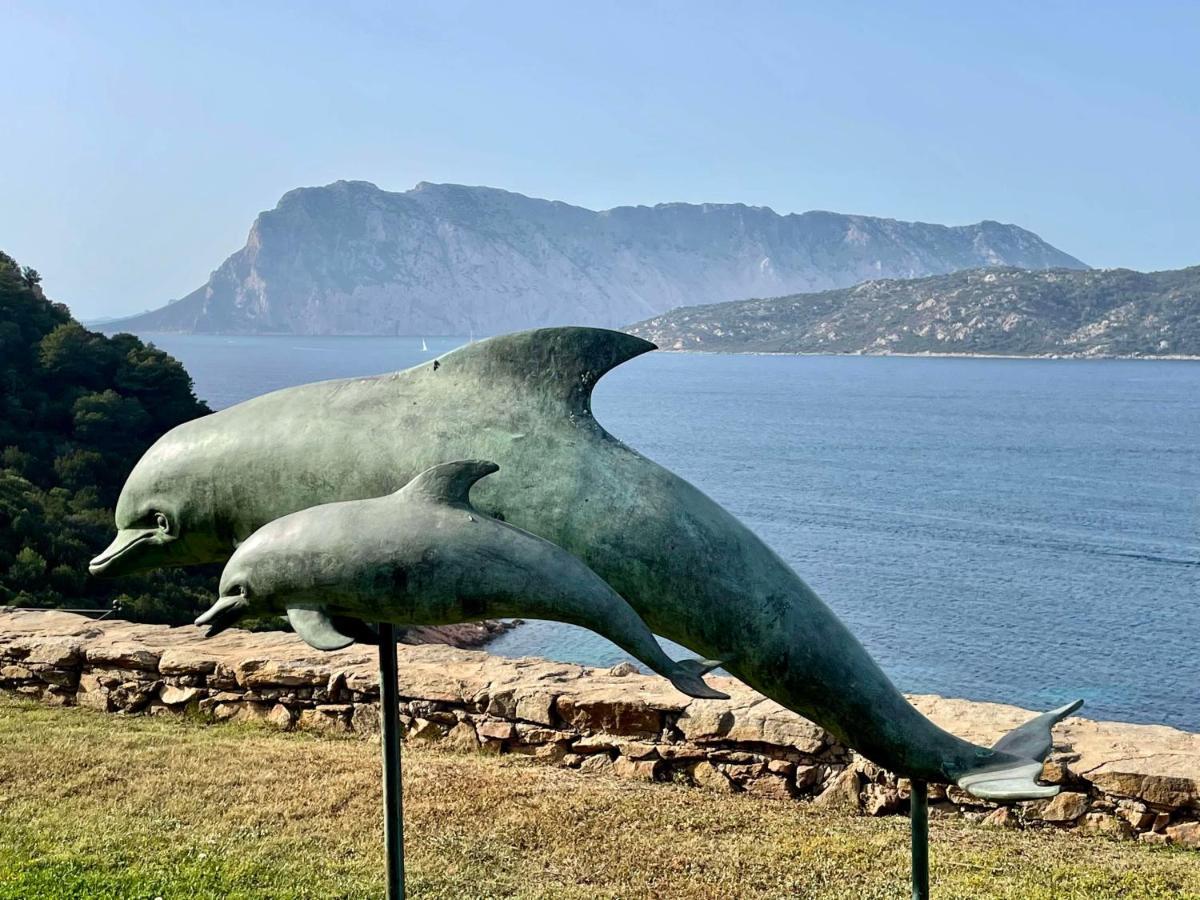 Ferienwohnung San Teodoro Punta Est Curatissimo Bilocale Capo Coda Cavallo Exterior foto